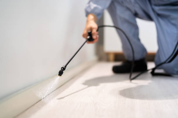 Licensed Mosquito Control service in Montrose, MI - Show Me Pest Control
