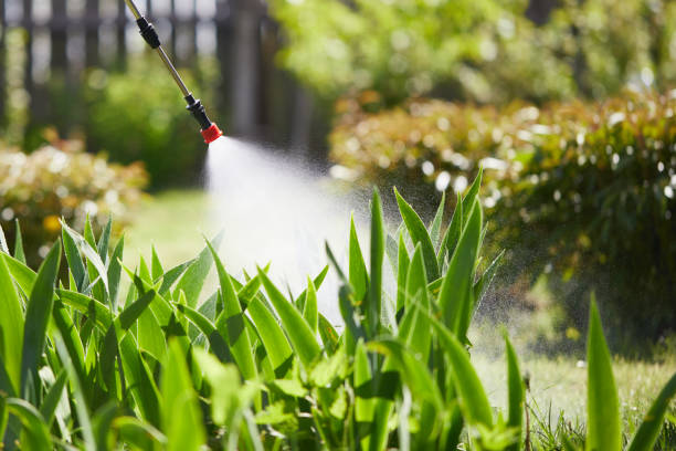 24/7 Emergency Mosquito Control experts in Montrose, MI